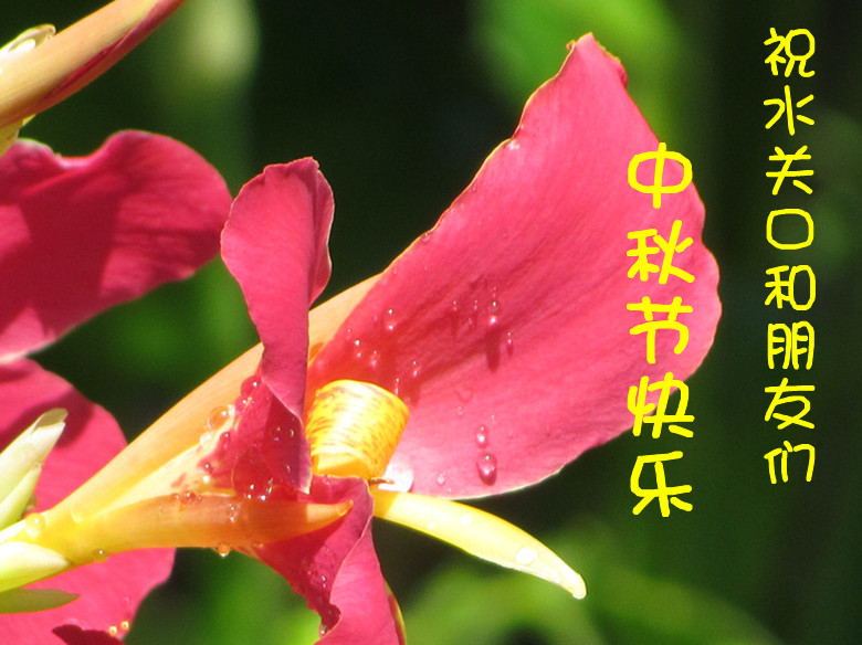IMG_7807_15.jpg