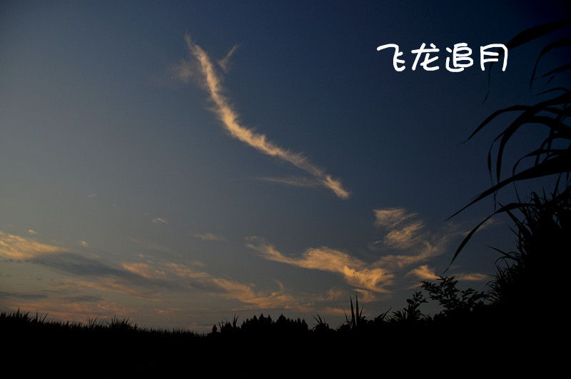 DSC_0355_.jpg
