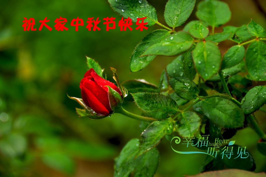 nEO_IMG_DSC_0072_.jpg