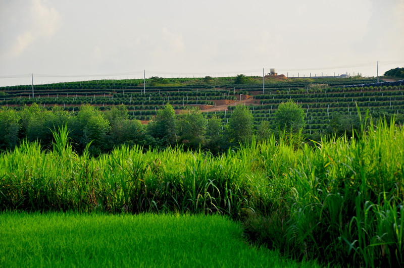 DSC_0292_.jpg