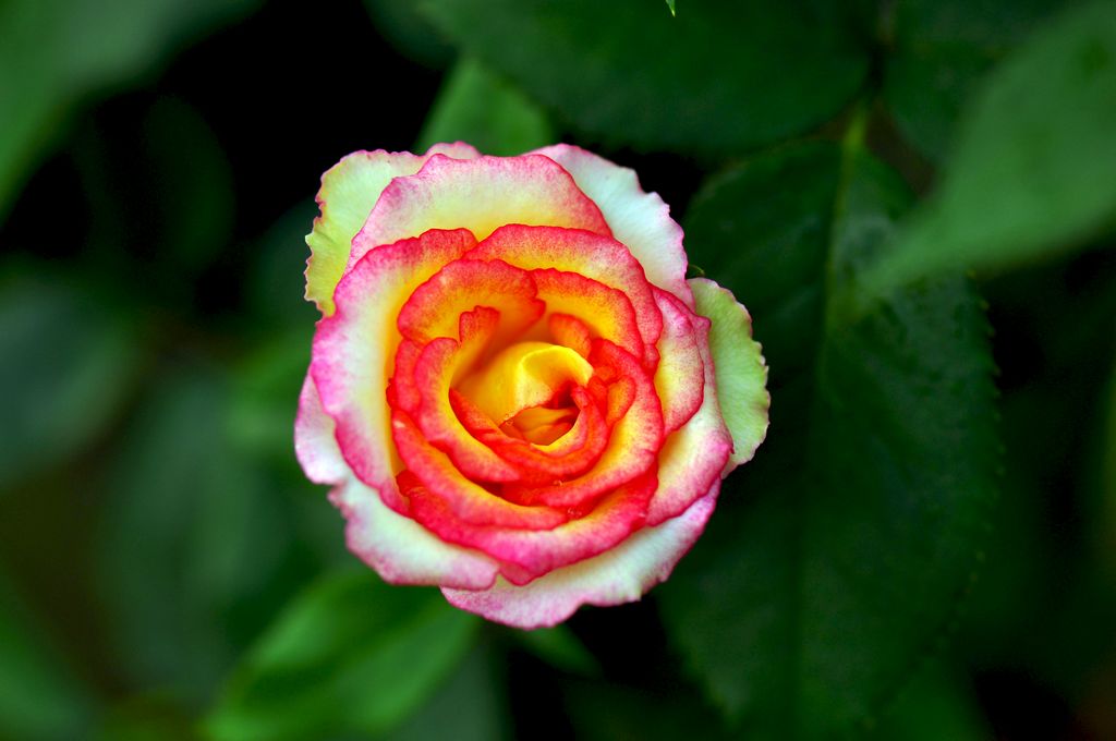 nEO_IMG_DSC_0059.jpg