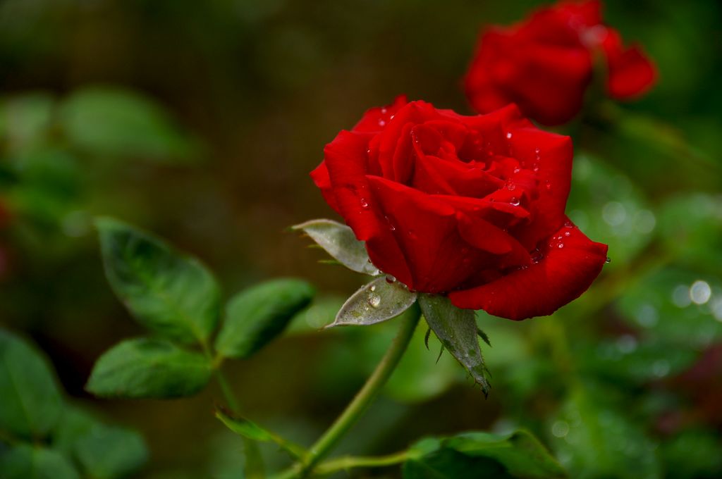 nEO_IMG_DSC_0073.jpg