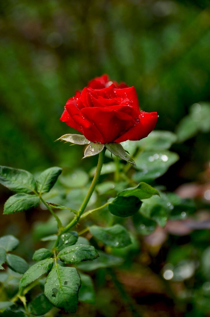 nEO_IMG_DSC_0074.jpg