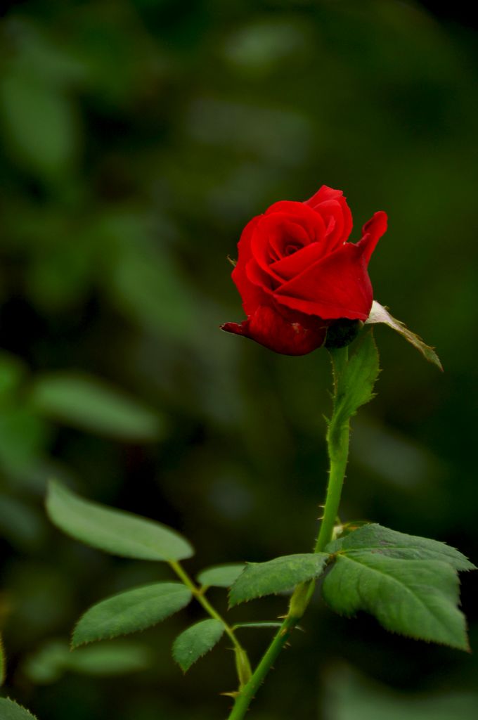 nEO_IMG_DSC_0028.jpg