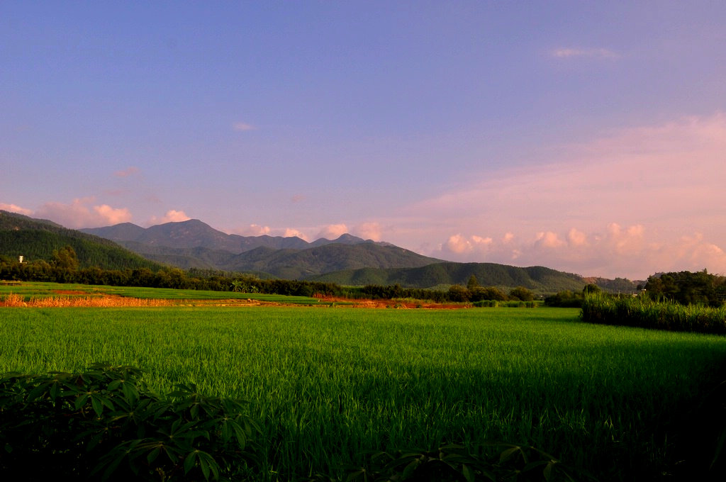 DSC_0207.JPG