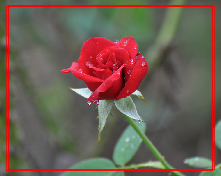DSC_0322.JPG