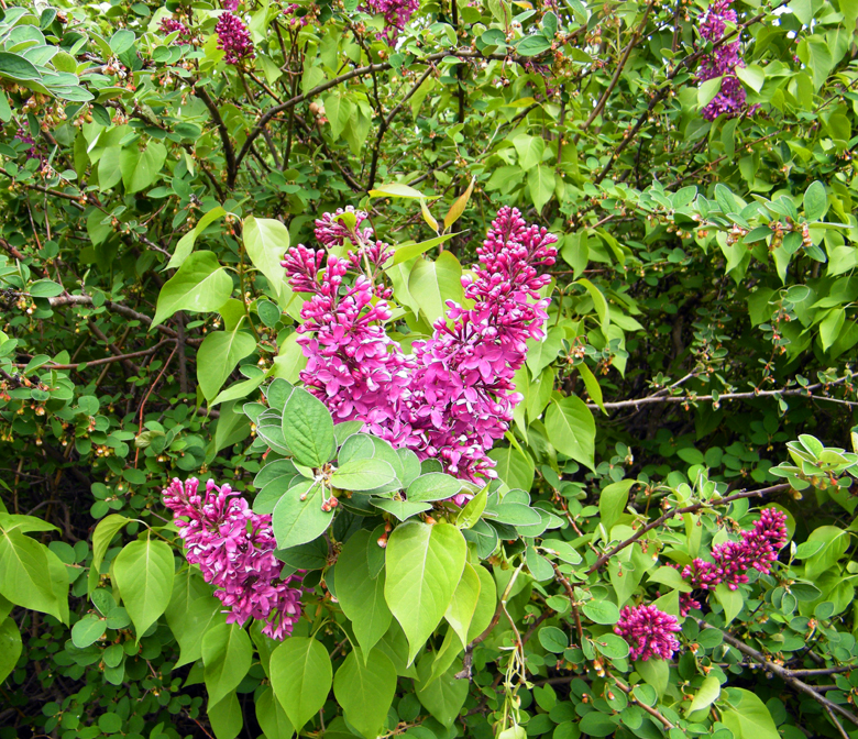 DSCF9759=0.jpg