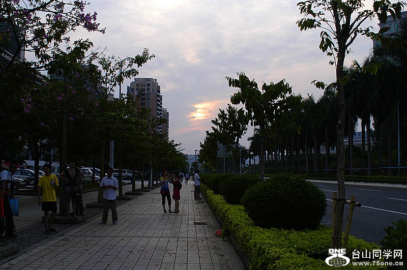 DSC_0026_.jpg