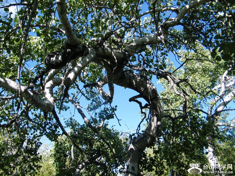 DSCF7891.JPG