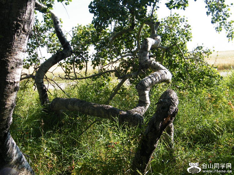 DSCF7990.JPG