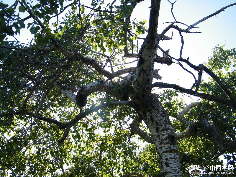 DSCF7888.JPG