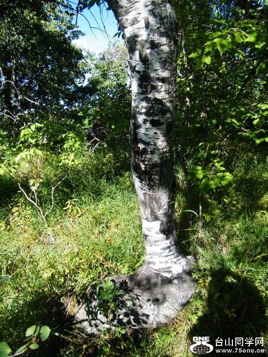 DSCF7940=.jpg