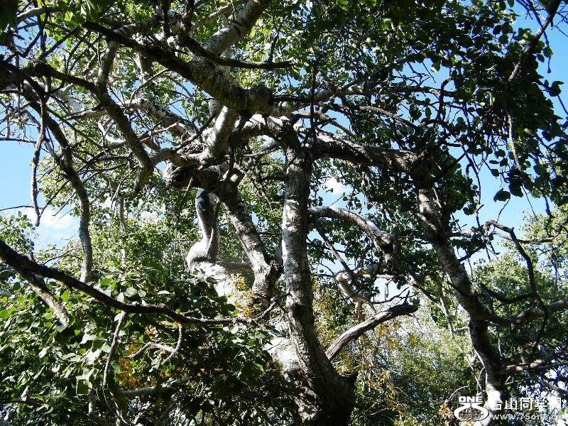 DSCF7962=.jpg