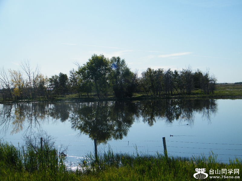 DSCF8239.JPG
