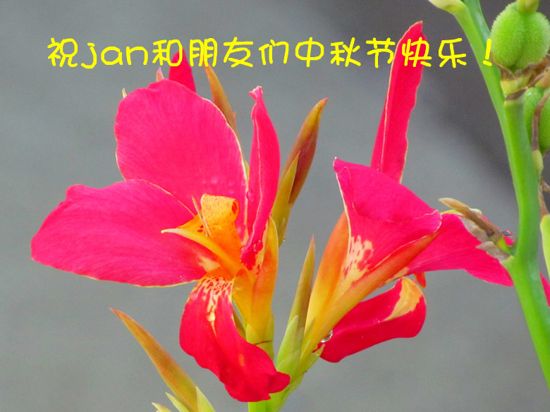 IMG_8660__4.jpg