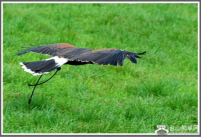 dsc_3054.jpg