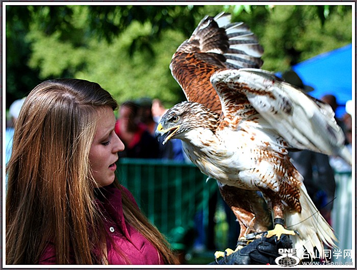 dsc_2981a.jpg