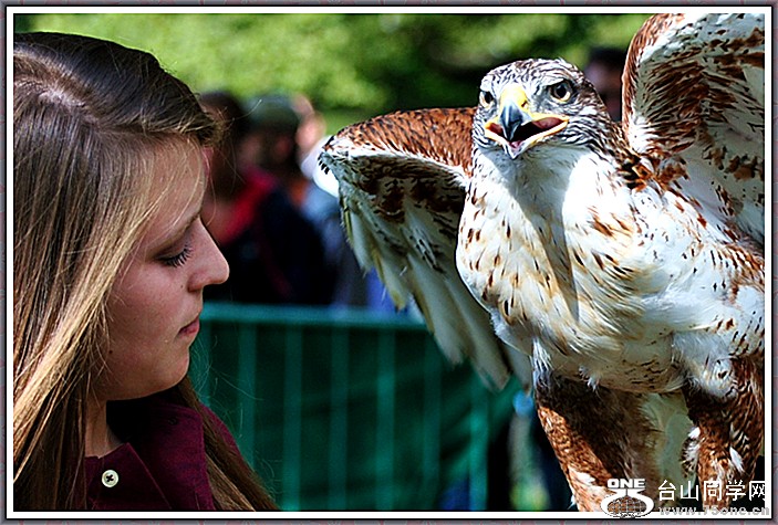 DSC_2982a.jpg