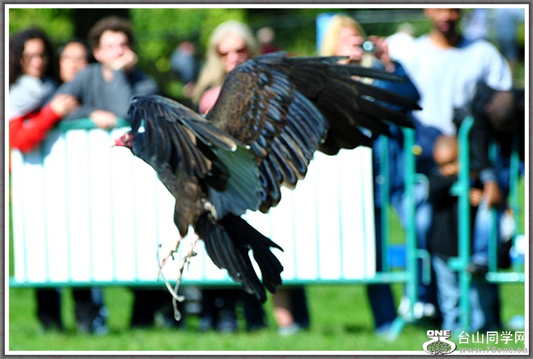 DSC_3155.JPG