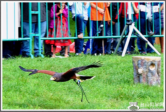dsc_3038a.jpg