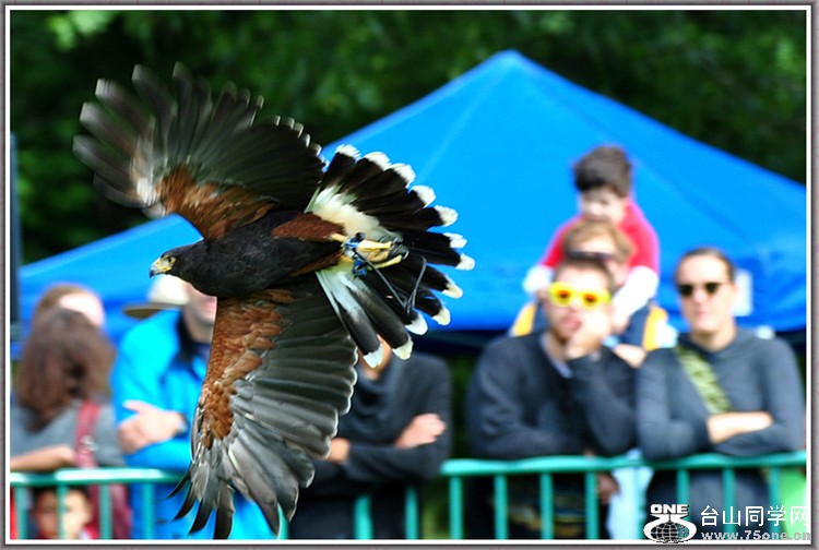 dsc_3066a.jpg