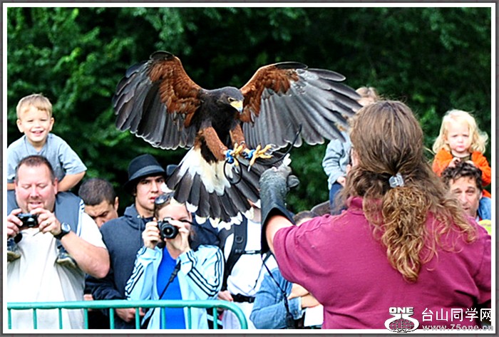 dsc_3048a.jpg
