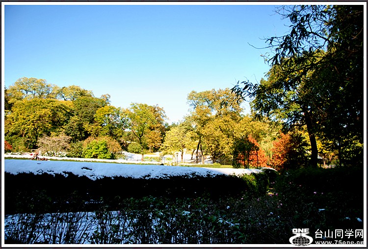 DSC_8344.JPG
