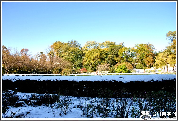 DSC_8358.JPG