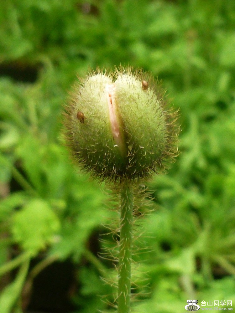 P1010877.JPG