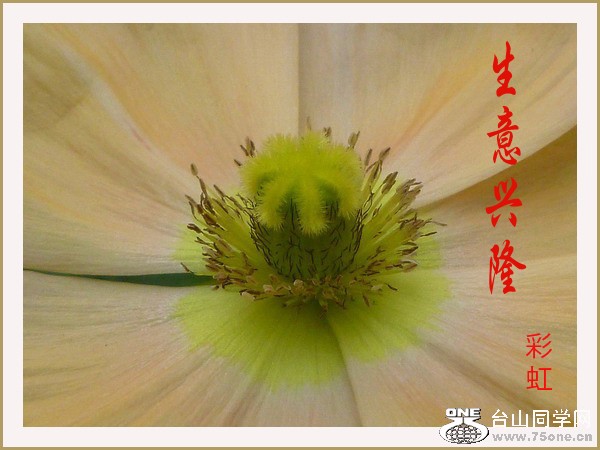 P1010880_conew1.jpg