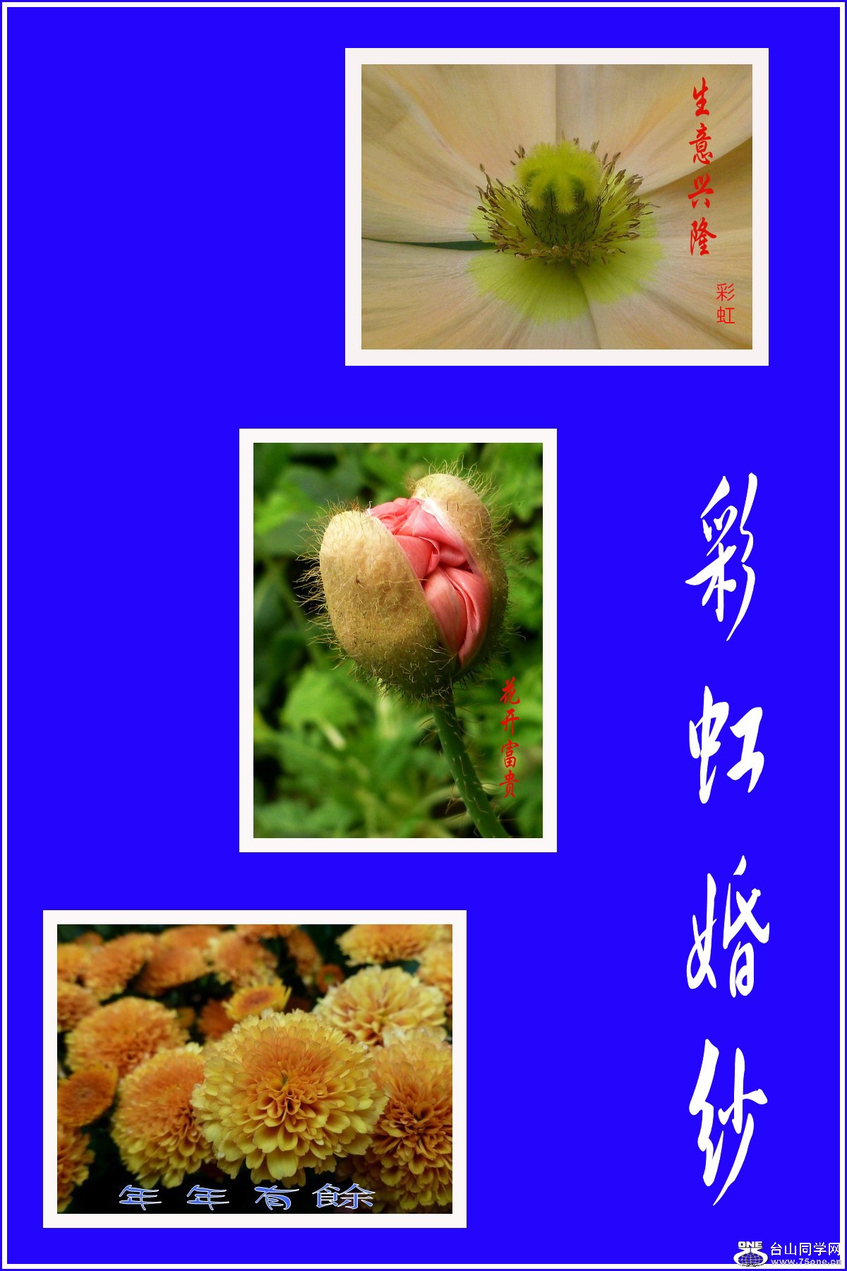 Untitled-1_conew2.jpg