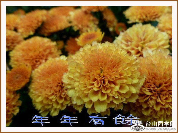 P1010907_conew1.jpg