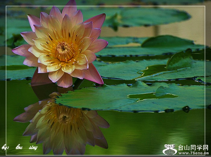dsc_8345s.jpg