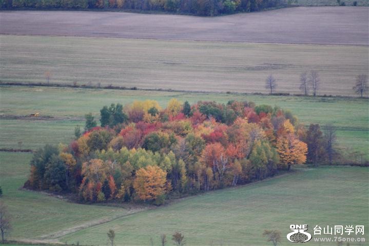 Picture 320 (Small).jpg