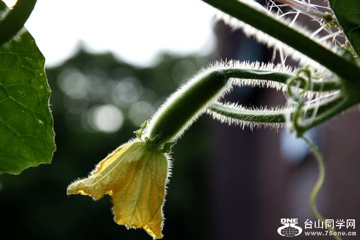 _MG_9222.jpg