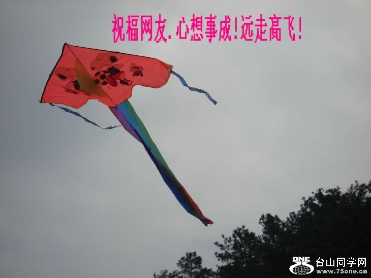 62_5054_11b29526a2a352c.jpg