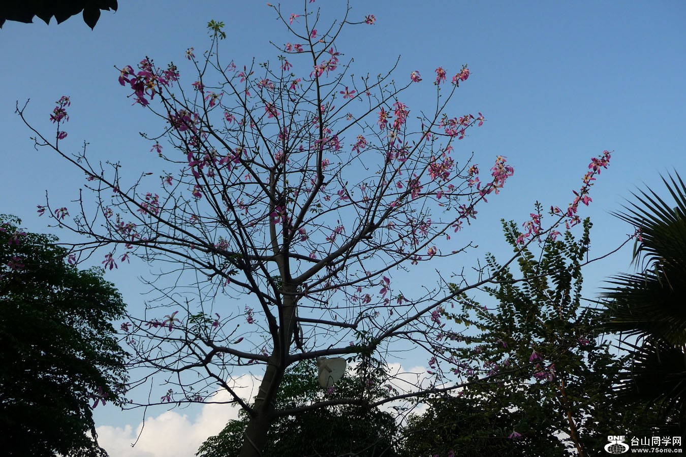 P1050341.JPG