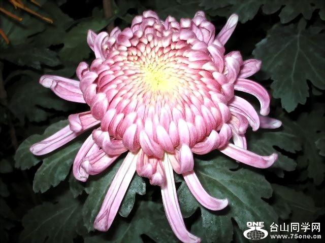 f5dbe6c942d7b46ebf09e672.jpg