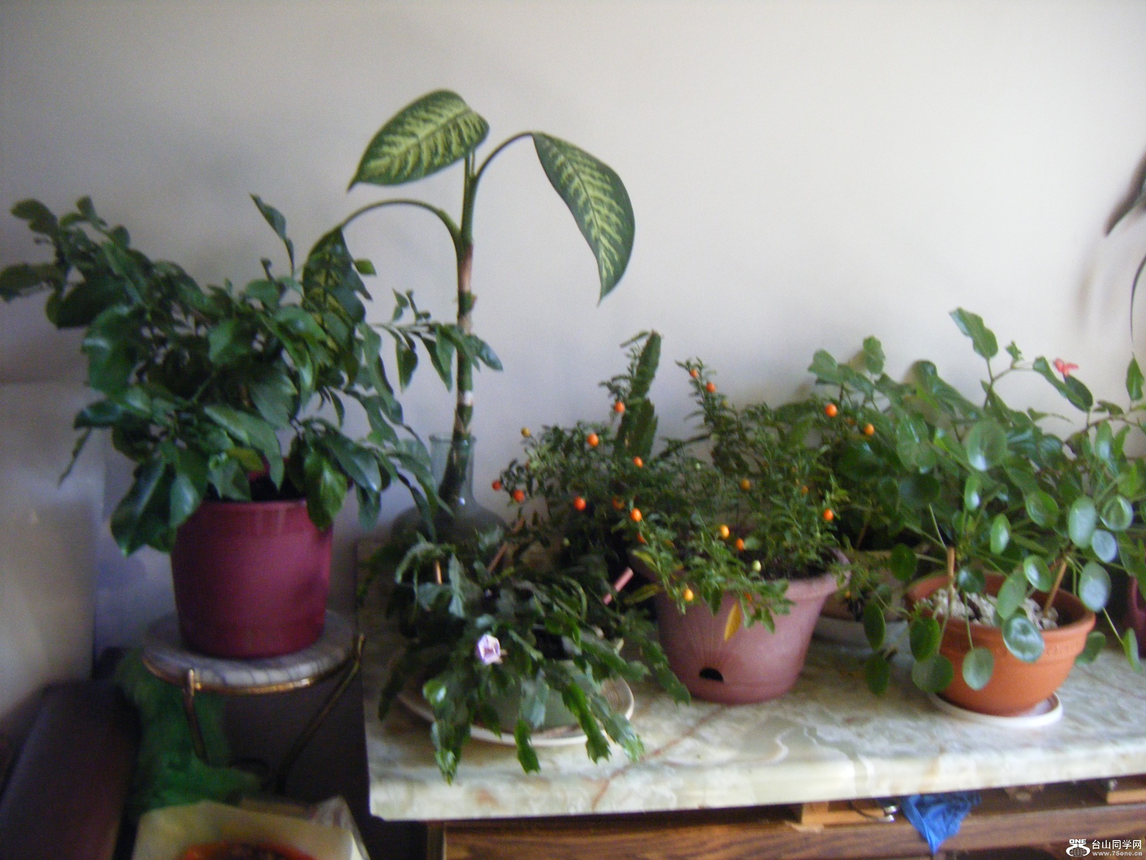 @2011-9-26 079.JPG