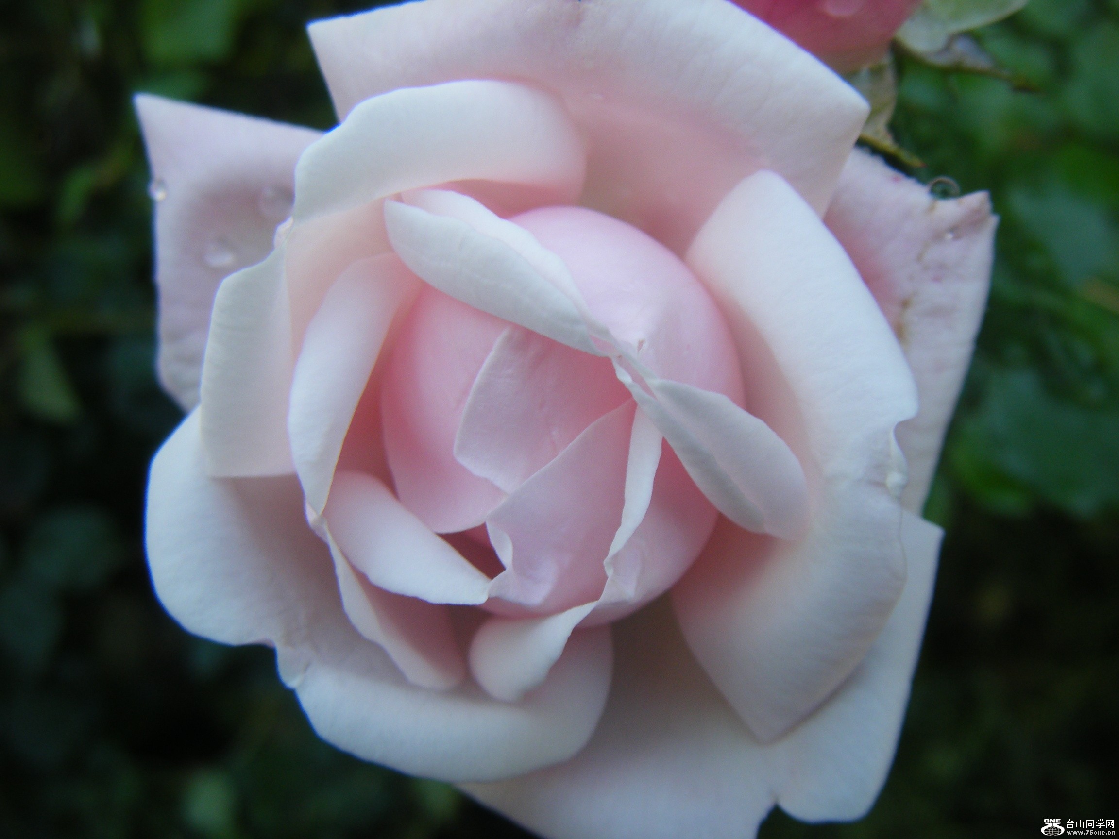 @2011-9-26 046.JPG
