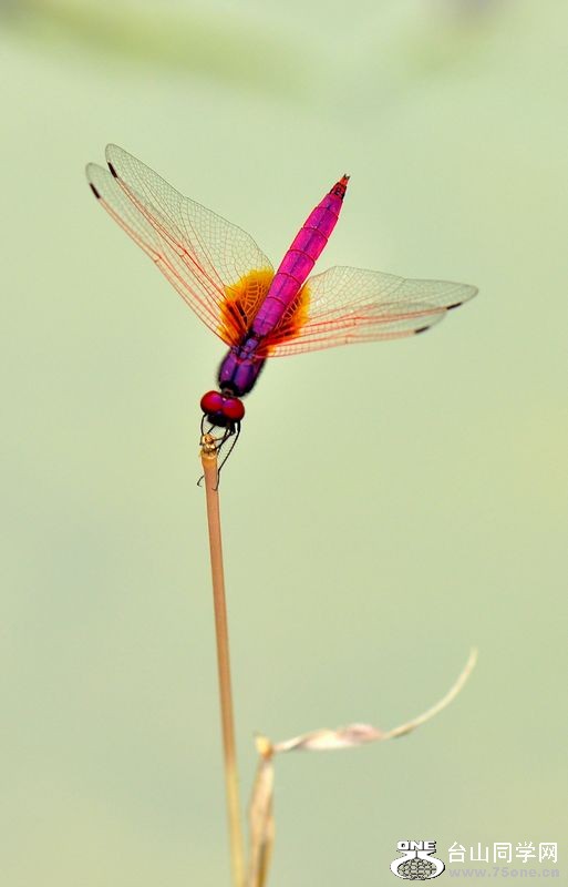 DSC_0108.JPG