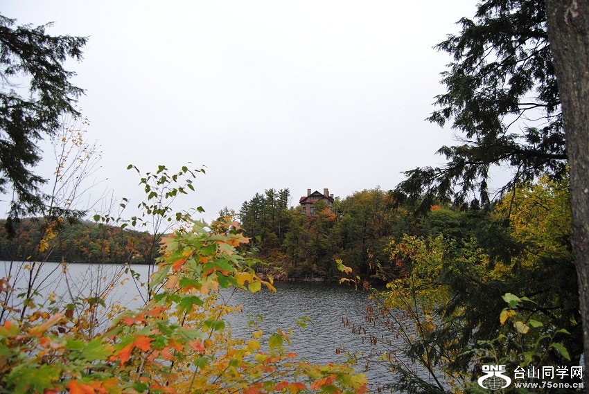 DSC_7851.JPG