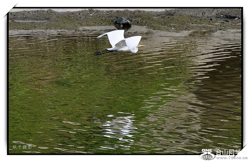 DSC_0020.JPG