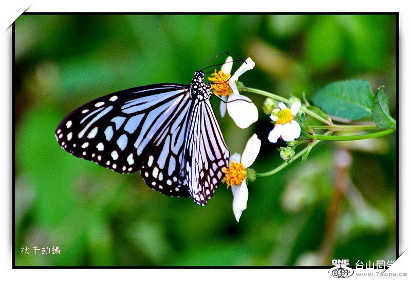 DSC_0038.JPG