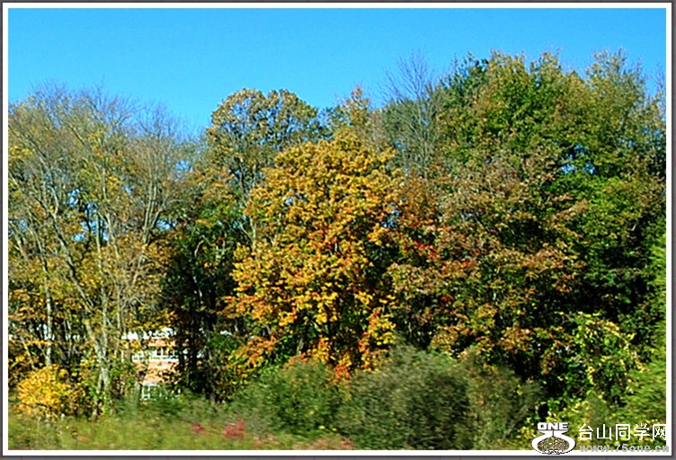 dsc_6812.jpg