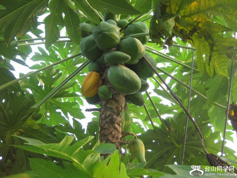 2011.9.16ˮ 011.jpg