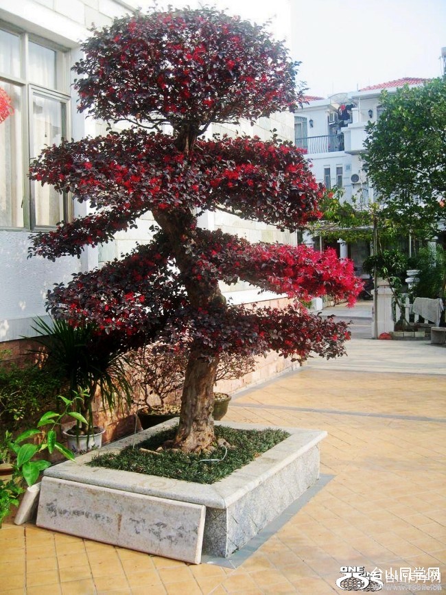 47_2459_beadca80ee9b831_conew142.jpg