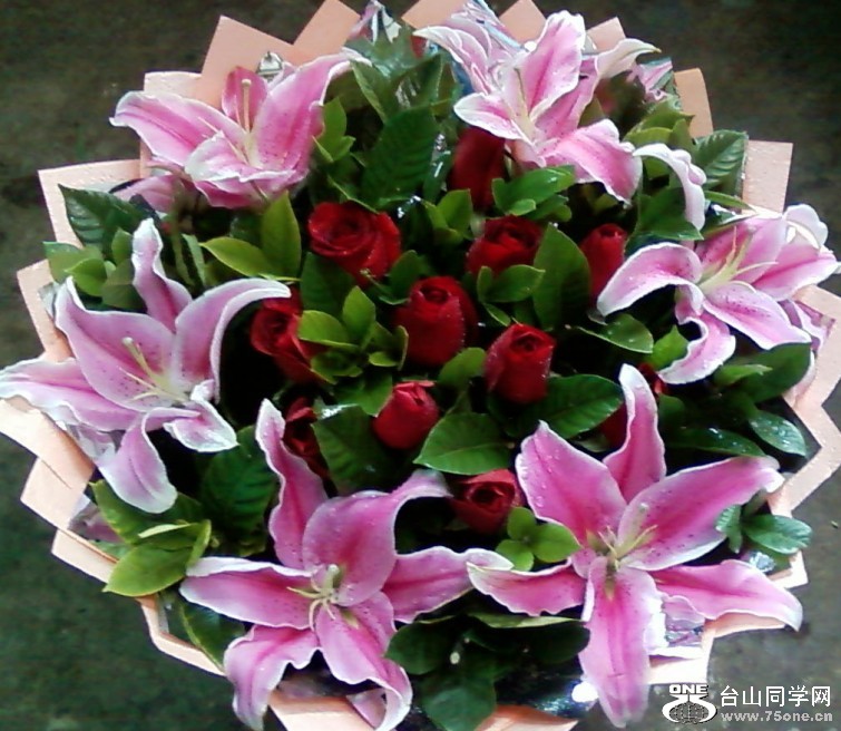 20070521-2_conew10.jpg