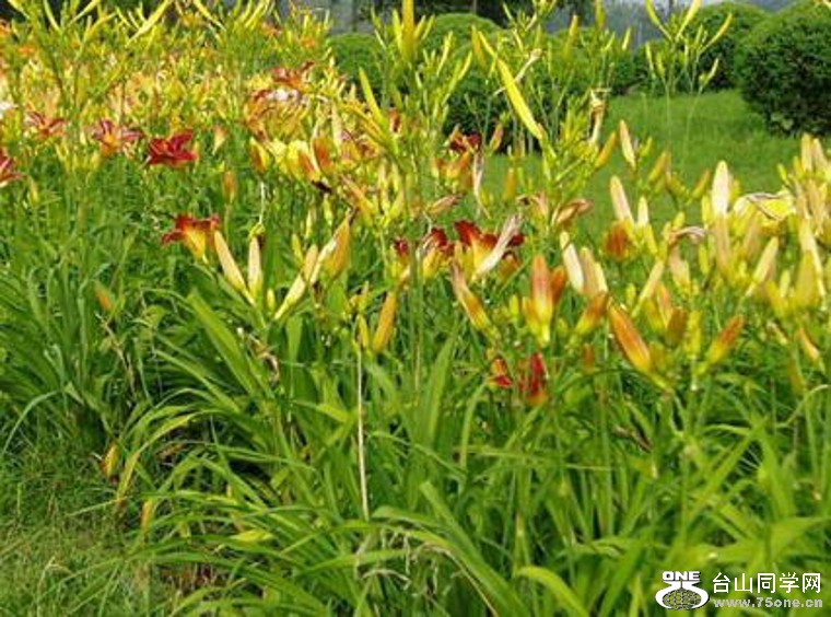 47_2459_beadca80ee9b831_conew112.jpg