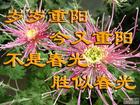 u=3668179335,1106665833&amp;fm=0&amp;gp=0.jpg